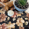 SATIN TABLE RUNNER- BLACK Satin Bloom Black