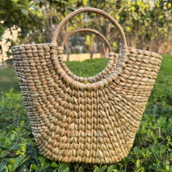 back MINI V BAG 1 Dainty Mini V Bag